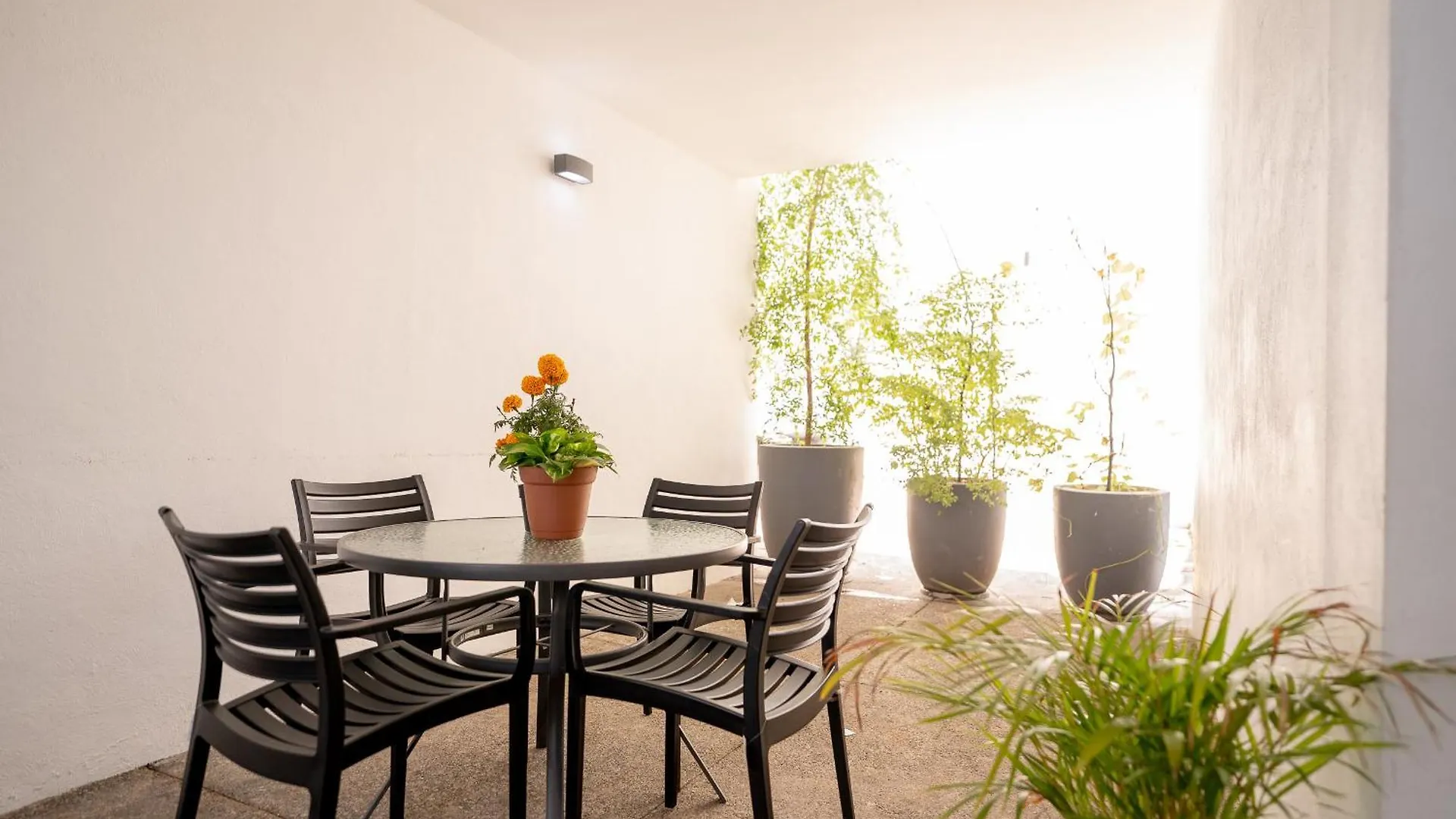 Excelente Ubicacion En Colonia Americana Guadalajara Appartement